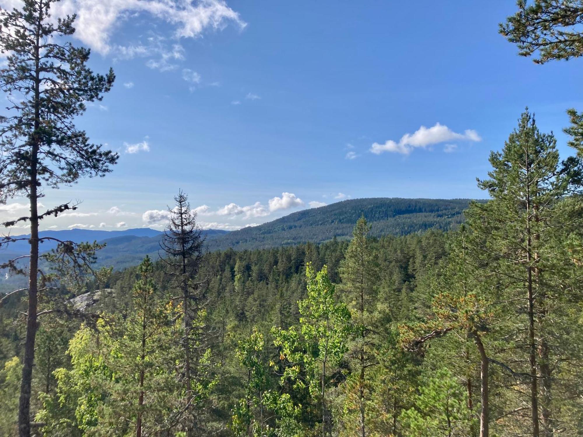 Friheten! Notodden Dış mekan fotoğraf