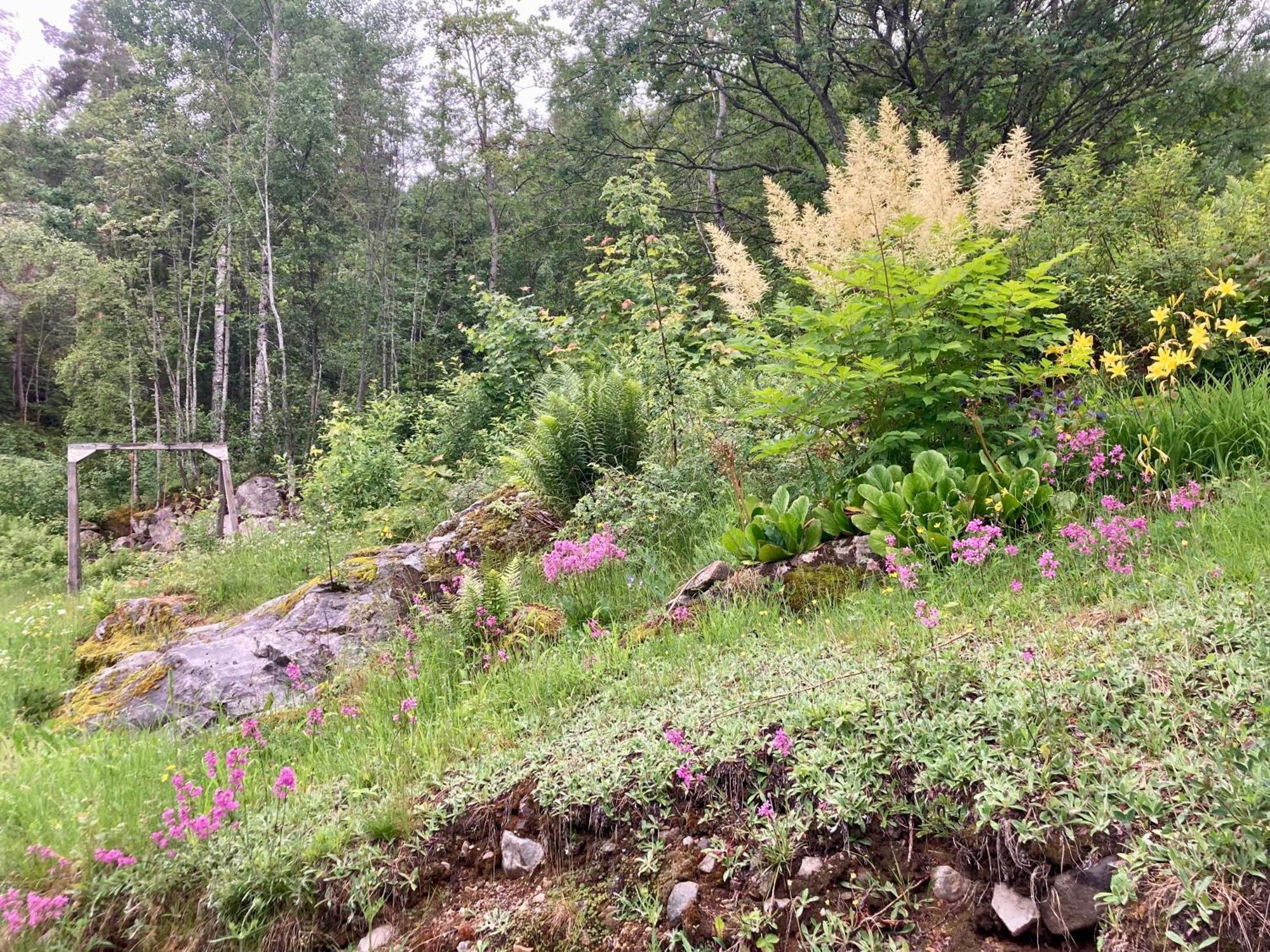 Friheten! Notodden Dış mekan fotoğraf